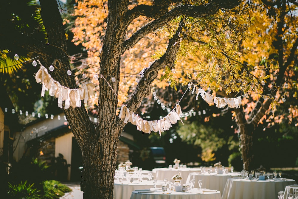 How To Choose The Perfect Wedding Venue in Edmonton