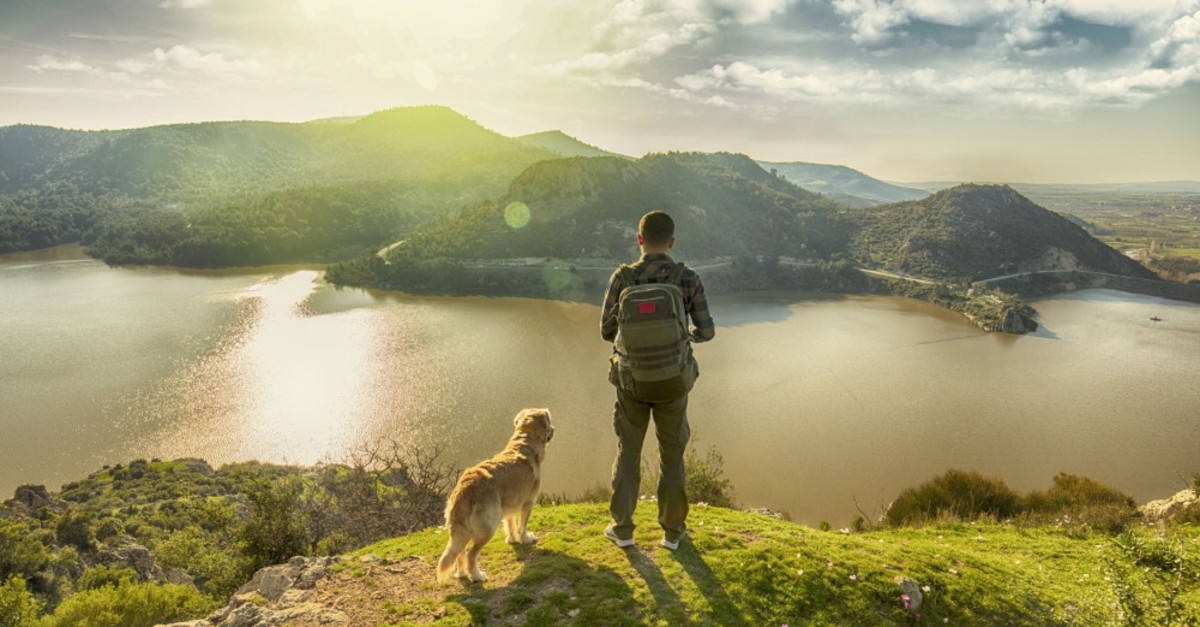 Man and his dog looking down from top of a mountain